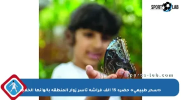 «سحر طبيعي» حضرة 15 ألف فراشة تأسر زوار المنطقة بألوانها الخلابة